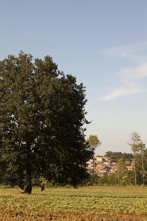 Agriturismo Creta Rossa Torre di Ruggiero Dış mekan fotoğraf